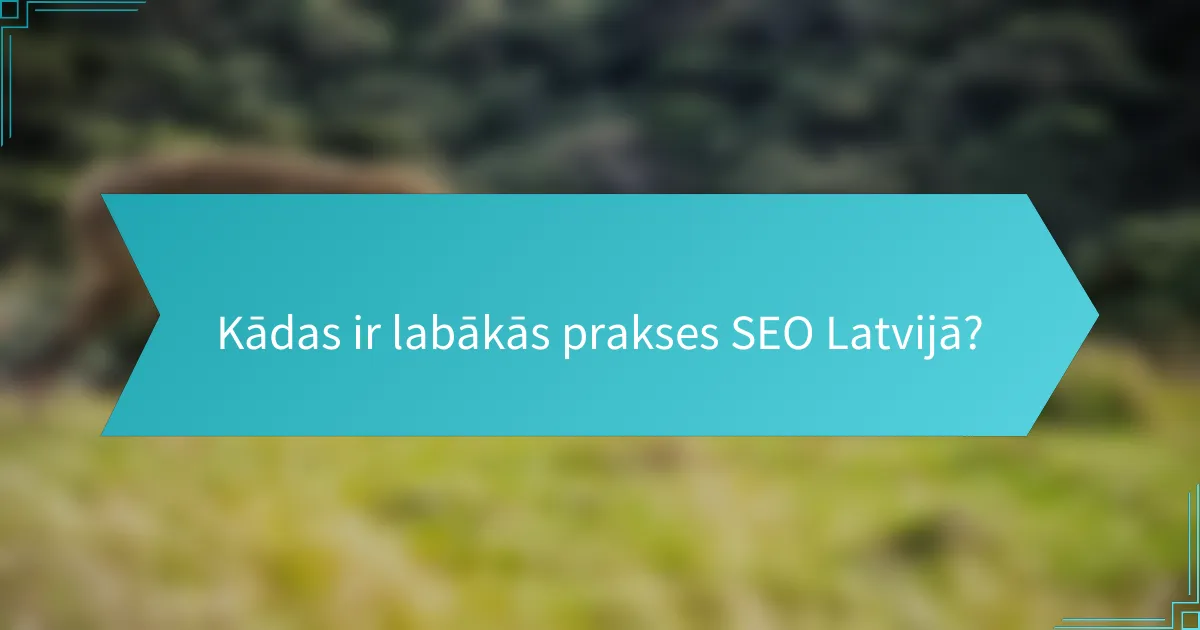 Kādas ir labākās prakses SEO Latvijā?