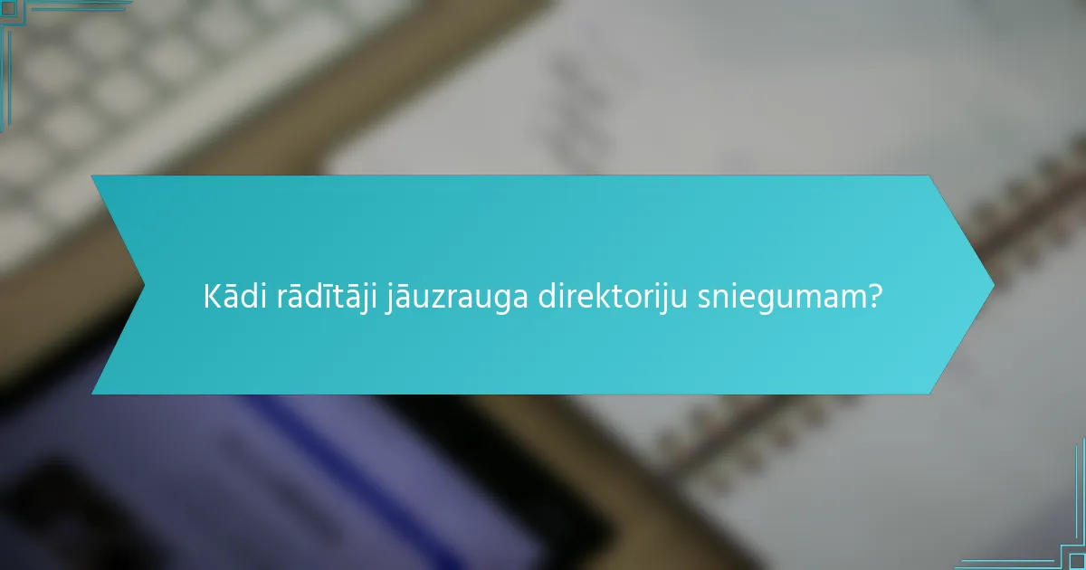Kādi rādītāji jāuzrauga direktoriju sniegumam?